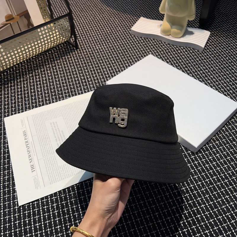 Alexander Wang cap (10)